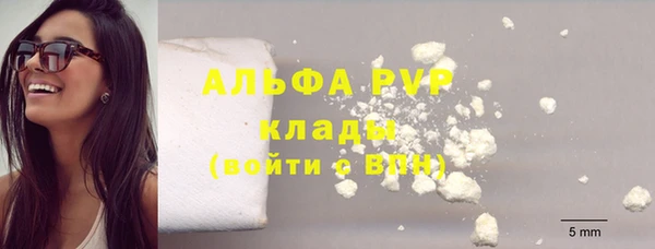 крисы Баксан