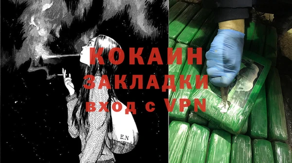 крисы Баксан