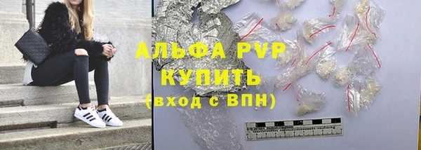 крисы Баксан