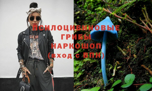 крисы Баксан